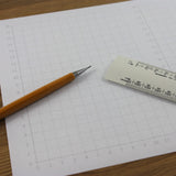 A4 Quadrant Coordinate Paper, Single Quadrant x2, 10mm 1cm Squared, 30 Sheet Pack